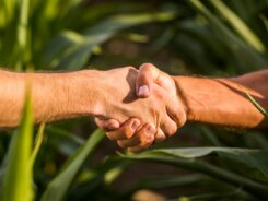 Pessoas dão as mãos em meio a natureza